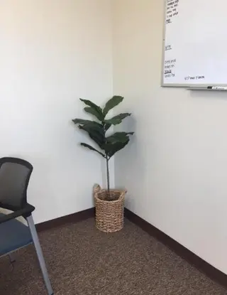 Artificial Plants & Artificial Trees - Ficus lyrata
